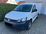 Volkswagen Caddy 1,6TDI 75kW Tramper Tramper - Volkswagen Caddy: Tramper