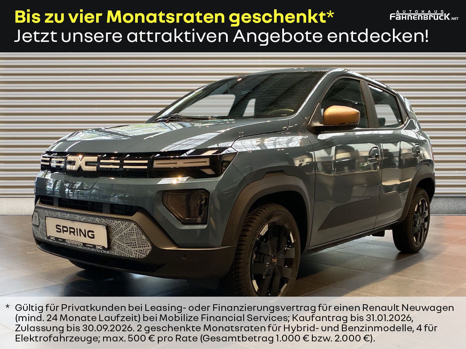 Dacia Spring Extreme ELECTRIC 65 Navi Rückfahrkamera