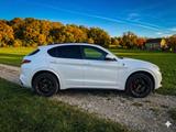 Alfa Romeo Stelvio 2.9 Bi-T. V6 375kW Quadrifoglio AT8-... - Alfa Romeo: Quadrifoglio