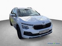 Skoda Kamiq - Vorschau Bild 3