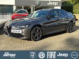 Alfa Romeo Giulia 2,0T Q4 NAVI|LED|SHZ|CarPlay|Tempomat - Alfa Romeo in Bielefeld