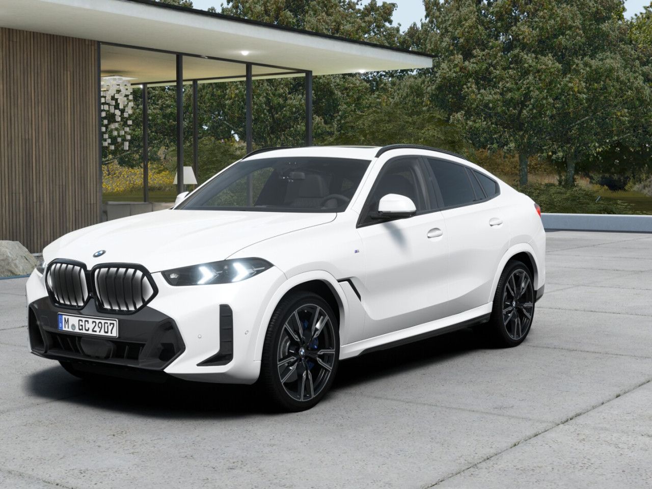 BMW X6 - Bild 3