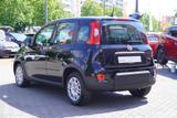 Fiat New Panda Pandina 1.0 mHEV App Connect PDC klima - schwarze Fiat New Panda