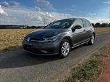 Volkswagen Golf 1.6 TDI Trendline Trendline - Volkswagen Golf: Trendline TDI