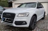 Audi Q5 3.0 TDI quattro - S-Line, AHK, Lagerschaden