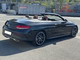 Mercedes-Benz C 300 Cabrio FACELIFT|BURM|RKAM|WIDE - Mercedes-Benz C-Class: Facelift