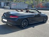 Mercedes-Benz C 300 Cabrio FACELIFT|BURM|RKAM|WIDE - Mercedes-Benz: Cabrio, W