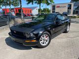 Ford Mustang 4.0 V6 Coupe Vollleder Temp Radio Klima - Ford Mustang aus 2007: Coupé