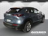 Mazda CX-30 Selection 2WD 360° Bose Ganzjahresreifen H - Mazda CX-30