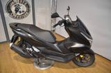 Honda 125 PCX Verfügbar ab dem 01.08.26 - HONDA ROLLER 125 PCX