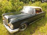 Mercedes-Benz 250 SE Cabrio und? - Familienzuwachs gefällig? - gebrauchte Mercedes-Benz 250 aus dem Jahr 1967