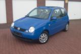 Volkswagen Lupo 1.0 College TÜV. 07.2028 - Volkswagen Lupo College mit Benzin-Antrieb