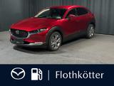 Mazda CX-30 G140 AUTO EXCLUSIVE-LINE*MATRIX-LED*BOSE*C - Mazda CX-30