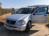 Mercedes-Benz ML 270 - graue Mercedes-Benz ML 270
