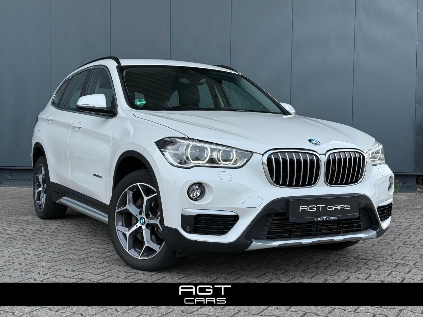 BMW sDrive 20i xLine Navi LED ACC