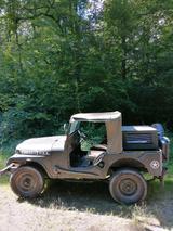 Jeep Kaiser Willys Jeep CJ 5 - Jeep Willys: Pickup