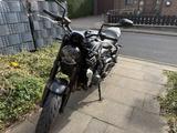 Triumph Trident 660 inkl. Quickshifter+ - TRIUMPH TRIDENT