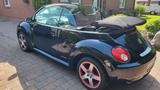 Volkswagen New Beetle 1.4 United Cabriolet United - Volkswagen New Beetle aus 2008