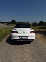 Mercedes-Benz C180 Cabrio - 62.000 km - Unfallfr - : Roadster, Mercedes