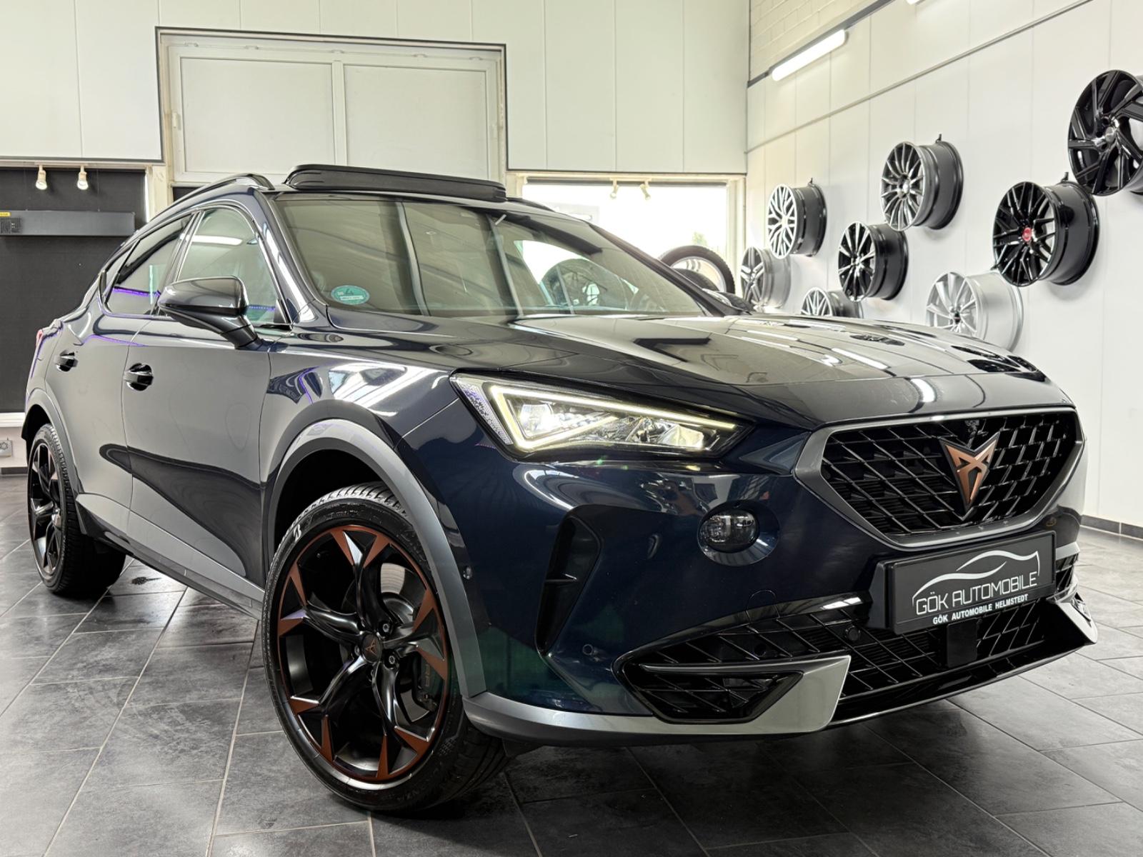 Cupra Formentor VZ 4Drive SCHALENSITZE*CARBON*360*PANO, миниатюра 8