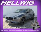 Mazda CX-30 2.0l Homura Navi Head-up Kamera - Mazda CX-30 Homura mit Benzin-Antrieb