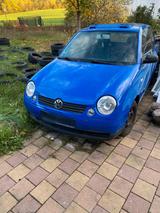 Volkswagen VW Lupo 1,4l 60Ps - Volkswagen Lupo: 1.6