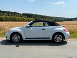 Volkswagen VW Beetle Cabrio 1.2 TSI  BlueMotion Techn... - Volkswagen Beetle in Wuppertal