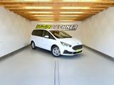 Ford Galaxy 2.0 EcoBlue Aut. "Titanium" AHK*LED*7S - weiße Ford Galaxy