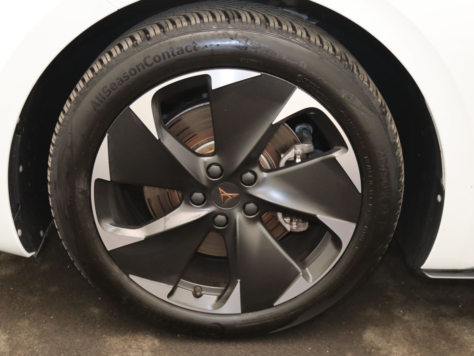 Cupra Born - Bild 17