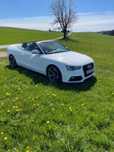 Audi A5 2.0 TDI 140kW Cabrio, AHK, S-Line - Audi A5 mit Diesel-Antrieb: Cabrio, 2.0