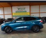 Ford Kuga 2,0  Ecoblue AWD ST-Line X,4xSHZ,IACC,HUD - Ford Kuga Jahreswagen mit Diesel-Antrieb