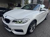BMW 220i Cabrio M Sport Kamera h&k Xenon 18" - BMW 220: M Sport