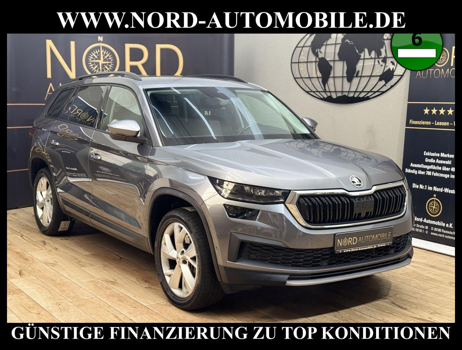 Skoda Kodiaq Ambition Tour 2.0 TDI DSG AHK/Matrix/19/