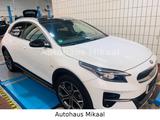 Kia XCeed Platinum Edition Plug-in Hybrid - Kia XCeed Platinum mit Hybrid-Antrieb (Benzin/Elektro)