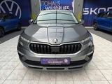 Skoda Kamiq Selection 1.0 TSI DSG LED RFK Smart-Link - Skoda Kamiq Tageszulassungen