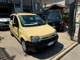 Fiat Panda 1.2 Dynamic Dualogic (AUTOMATICA) - Fiat Panda mit Halbautomatikschaltung