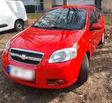 Chevrolet CHEVROLET AVEO - gebrauchte Chevrolet Aveo aus dem Jahr 2006