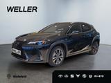 Lexus UX 300h F SPORT Design *LED*Kamera*Leder*SHZ*PDC - Lexus UX Tageszulassungen