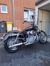 Harley-Davidson Sportster 883 XL Custom 