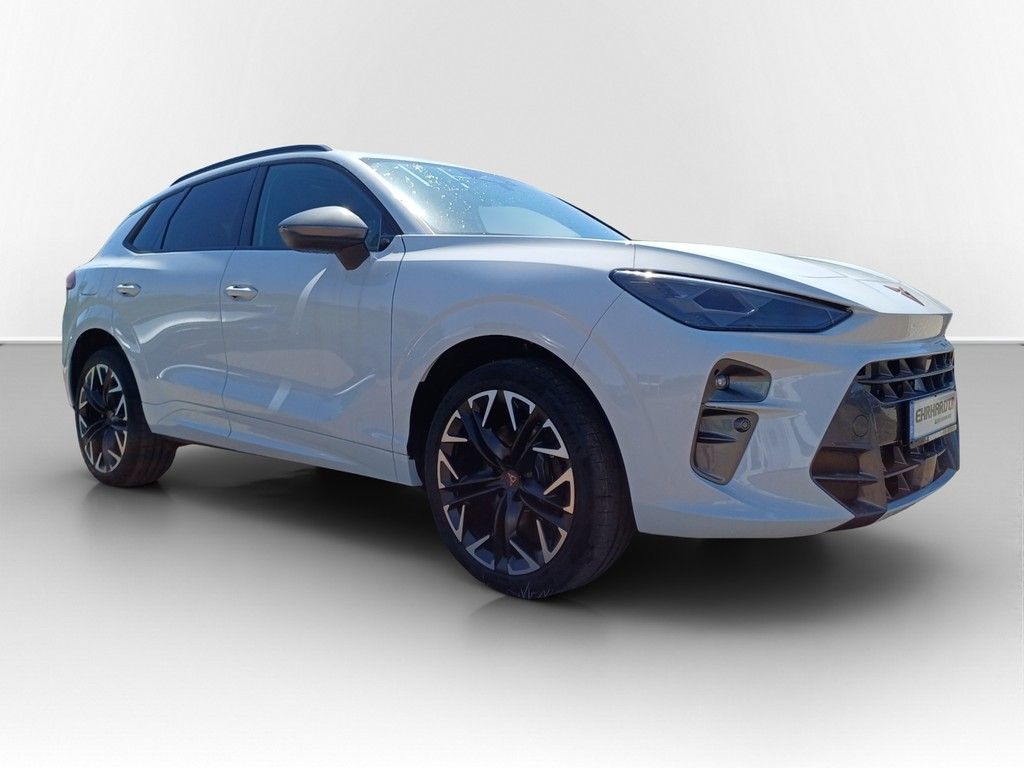 Cupra Terramar - Bild 3