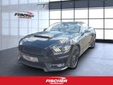 Ford Mustang Convertible Sportpaket Bluetooth Xenon - Ford: Sport
