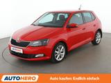 Skoda Fabia 1.0 TSI Clever*ACC*PDC*SHZ*AHK*KLIMA* - Skoda Fabia Gebrauchtwagen in Frankfurt