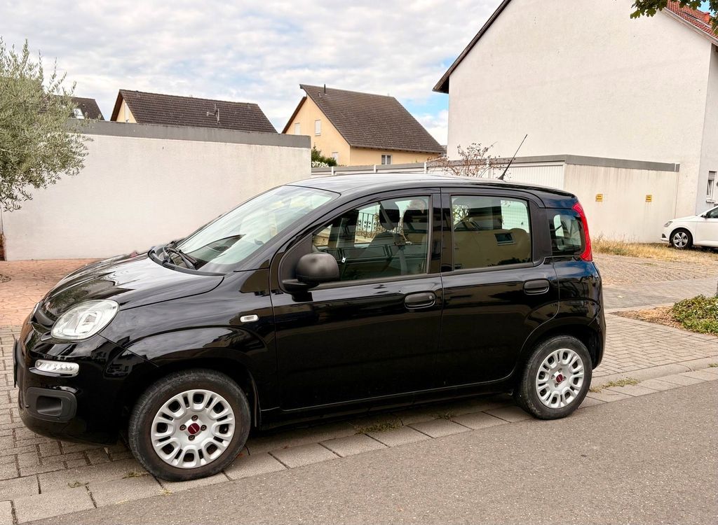 Image of Fiat Panda