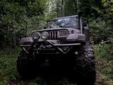 Jeep Wrangler Sport 4.0 Automatik Sport - gebrauchte Jeep Wrangler aus dem Jahr 1995