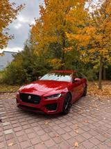 Jaguar XE P250 S  - rote Jaguar XE