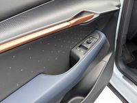 Cupra Tavascan - Vorschau Bild 15