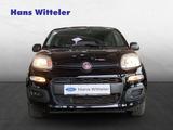 Fiat Panda Easy 1.2L 1. Hand / Klimaanlage/Bluetooth - Fiat Panda: Schwarz