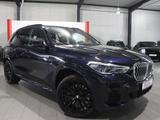 BMW X5 xDrive 40d INDIVIDUAL M-SPORTPAKET SKY-LOUNGE - BMW X5: 4.4