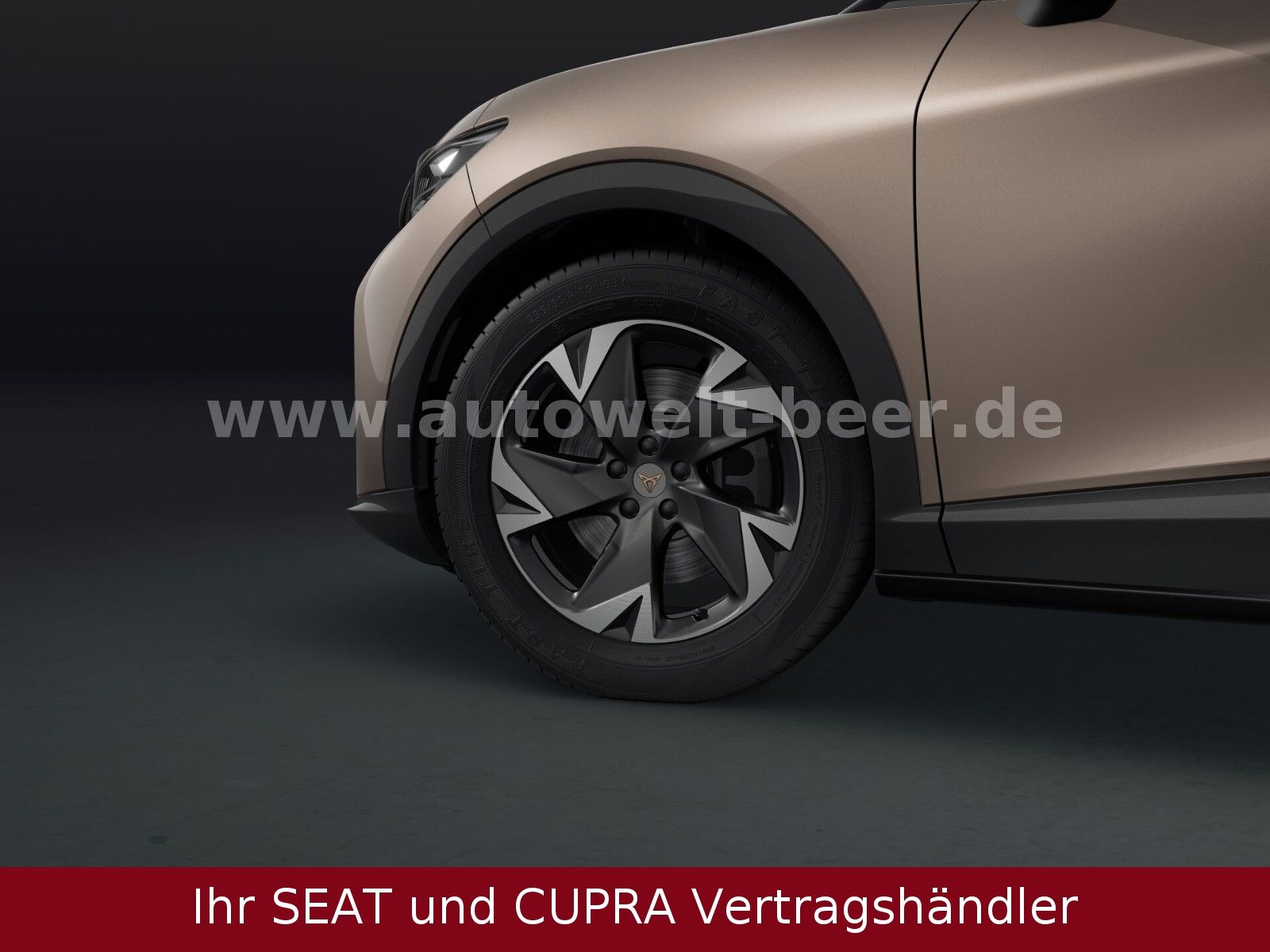 Cupra Tavascan - Bild 4