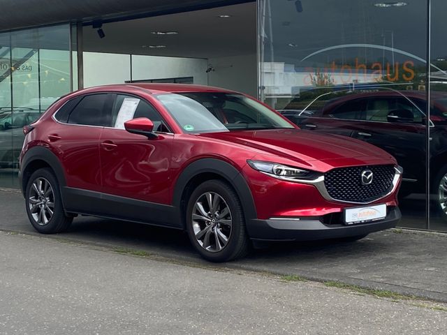 Fahrzeugabbildung Mazda CX-30 Selection , e-SKYAKTIV X*Head-Up*NAVI+RFK